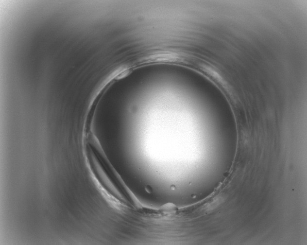 X0000068771426200605051620