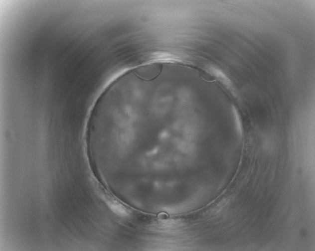 X0000068771427200605051620