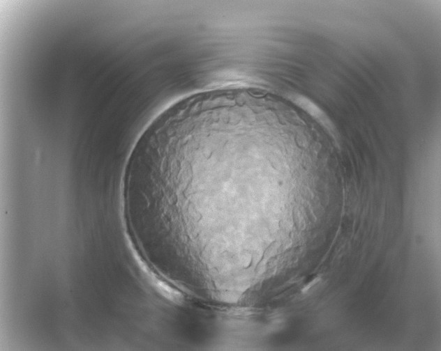 X0000068771431200605051620