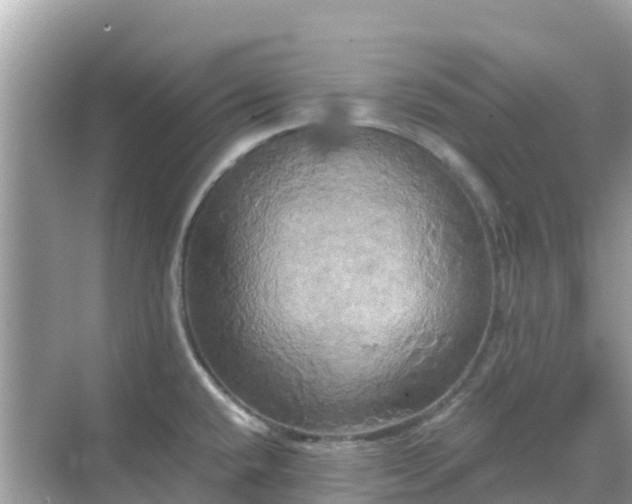 X0000068771432200605051620