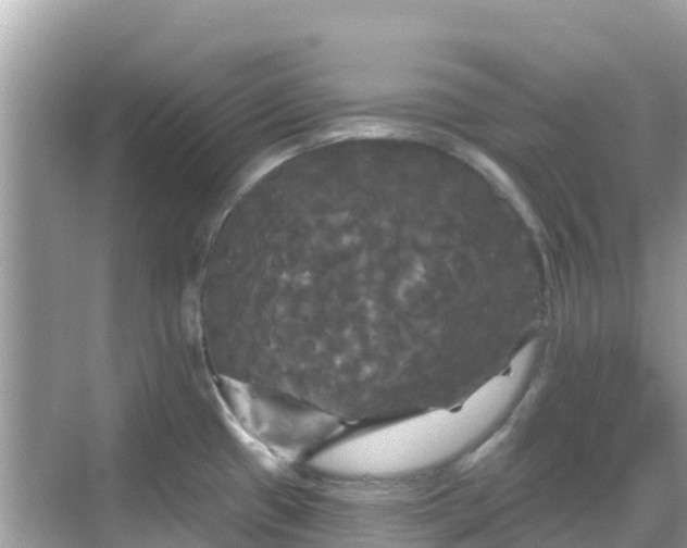 X0000068771433200605051620