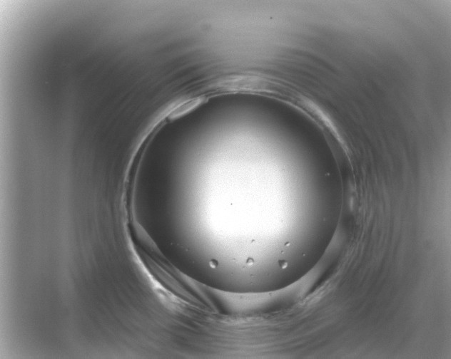 X0000068771434200605051620