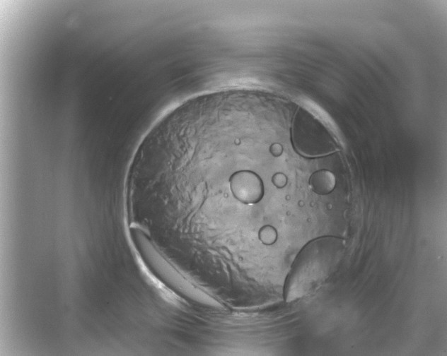 X0000068771439200605051620