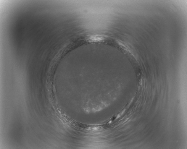 X0000068771441200605051619