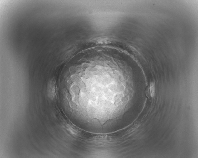 X0000068771444200605051619