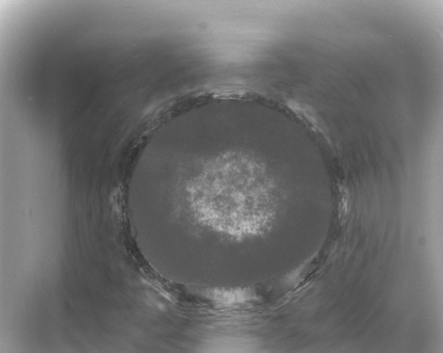 X0000068771445200605051619