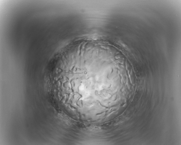 X0000068771446200605051619