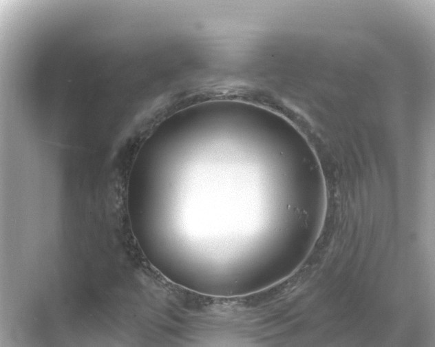 X0000068771447200605051619