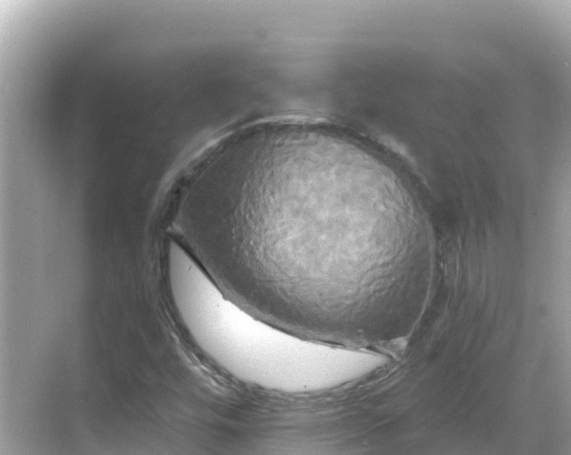 X0000068771448200605051619