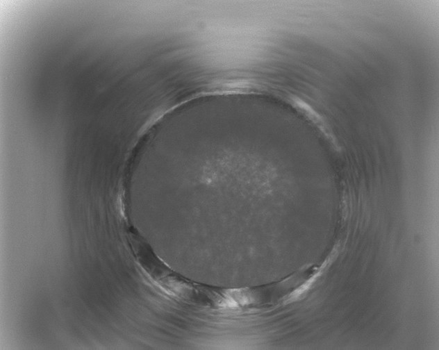 X0000068771449200605051619