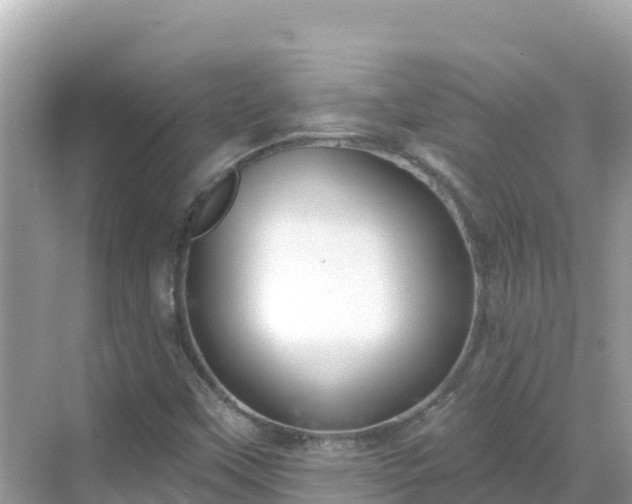 X0000068771451200605051619