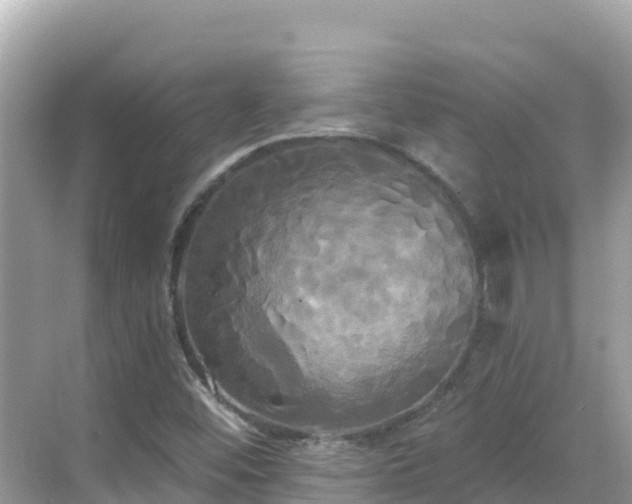 X0000068771452200605051619