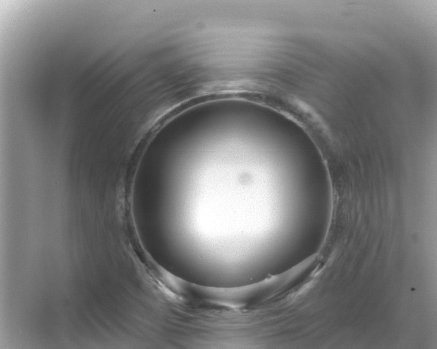 X0000068771457200605051619