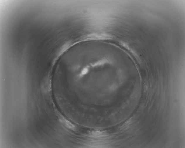 X0000068771459200605051619