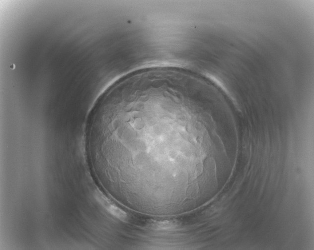 X0000068771460200605051619