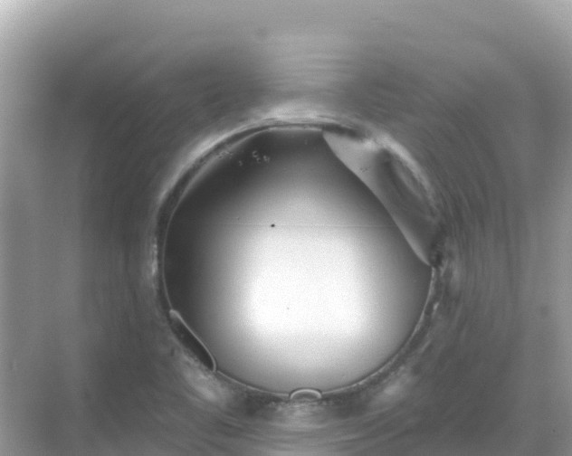 X0000068771461200605051619