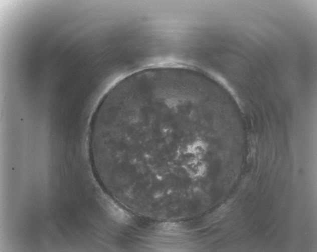 X0000068771463200605051619