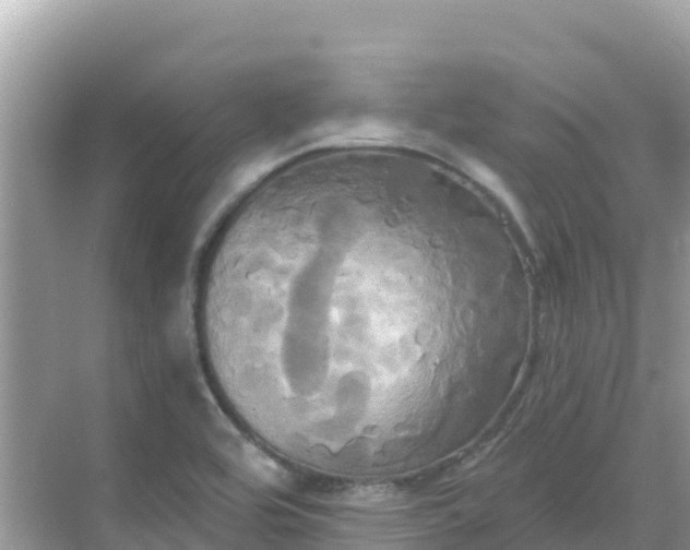 X0000068771464200605051619