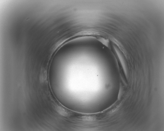 X0000068771465200605051619