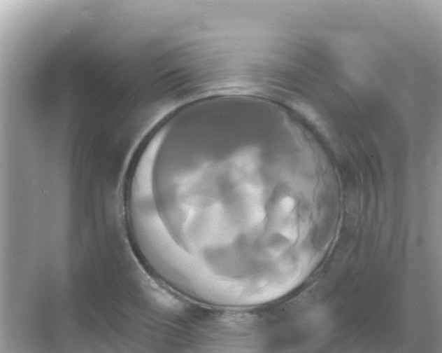 X0000068771466200605051619