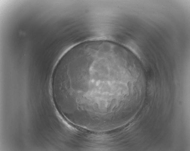 X0000068771468200605051619