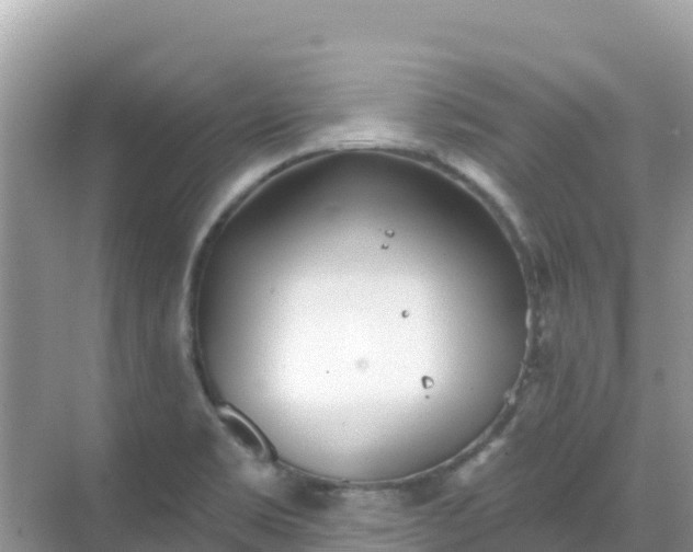 X0000068771469200605051619