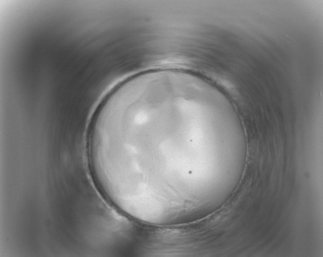 X0000068771470200605051619