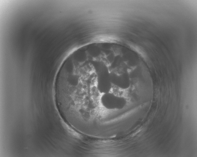 X0000068771471200605051619