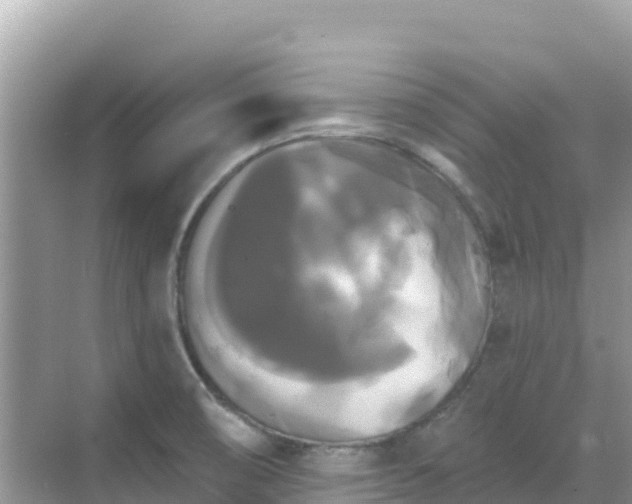 X0000068771474200605051619