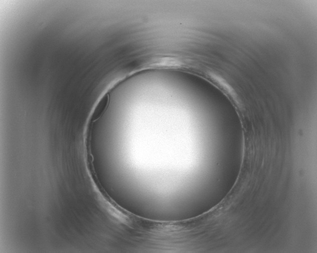 X0000068771475200605051619