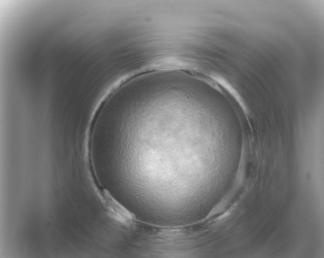 X0000068771477200605051619