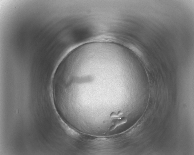 X0000068771478200605051619