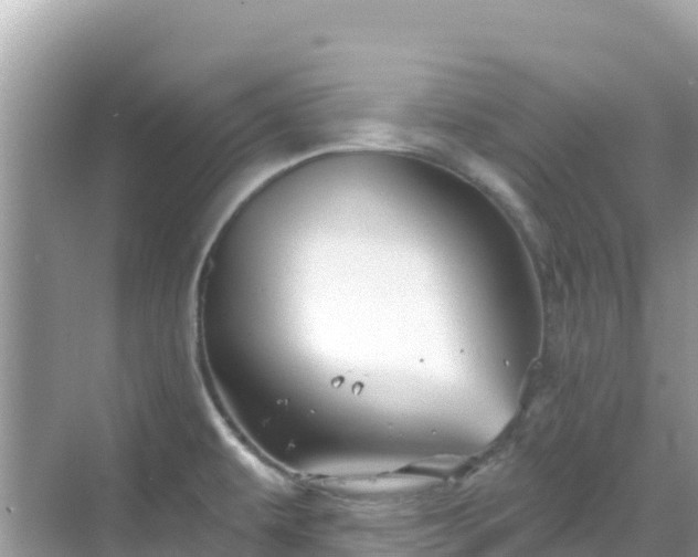 X0000068771479200605051619