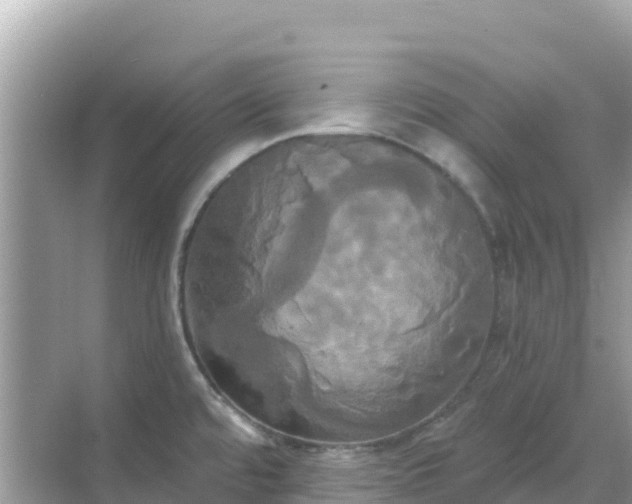 X0000068771480200605051619