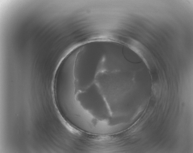 X0000068771482200605051619