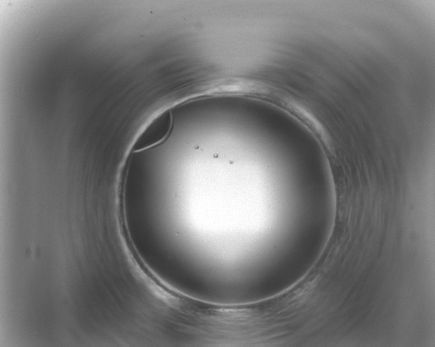 X0000068771483200605051619