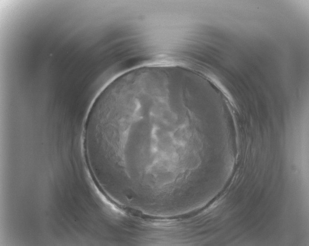 X0000068771484200605051619