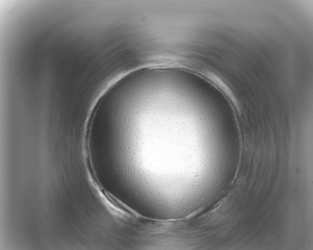 X0000068771485200605051619