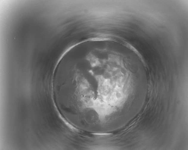 X0000068771487200605051619