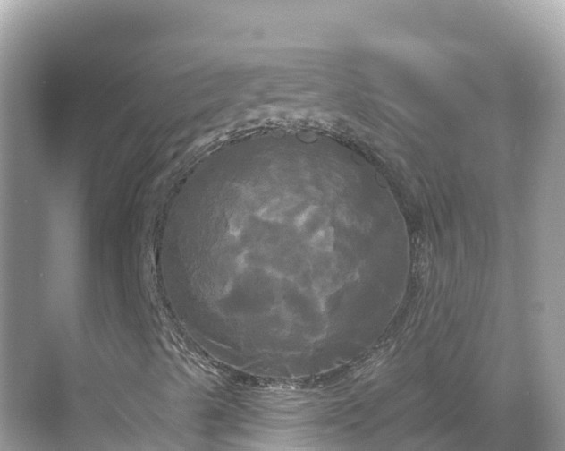 X0000068771489200605051618