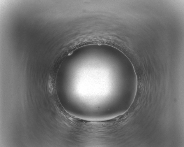 X0000068771490200605051618