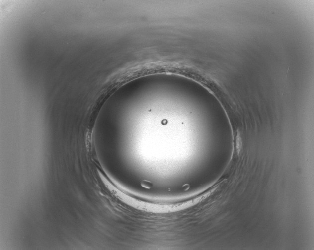 X0000068771492200605051618