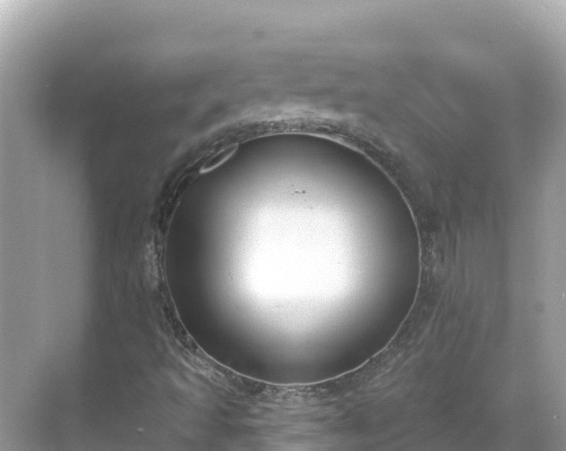 X0000068771493200605051618