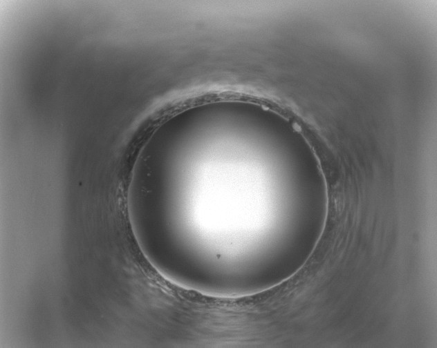 X0000068771495200605051618