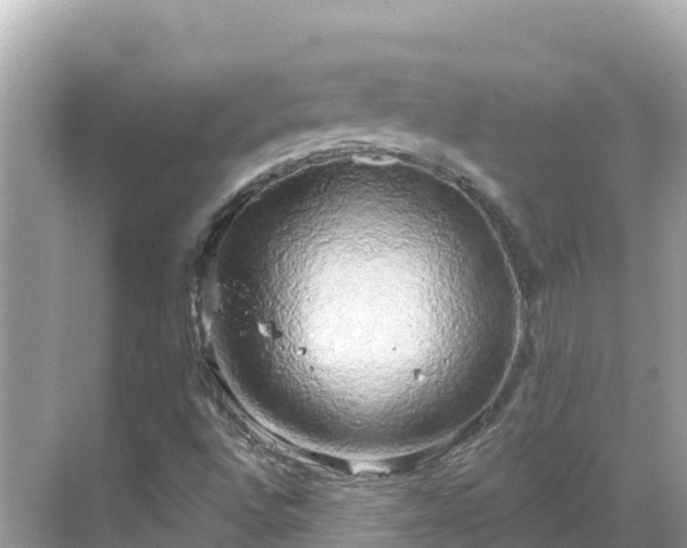 X0000068771496200605051618