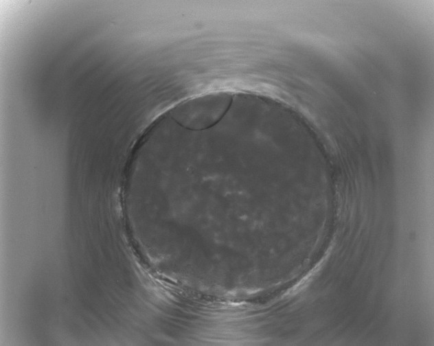 X0000068771497200605051618