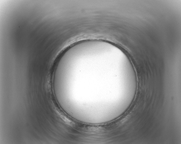 X0000068771498200605051618