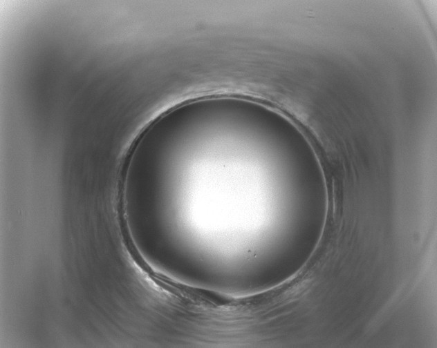 X0000068771500200605051618