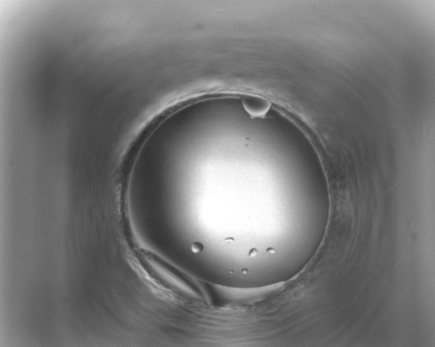 X0000068771503200605051618