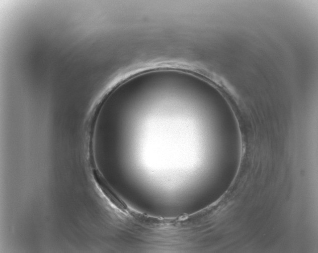 X0000068771504200605051618